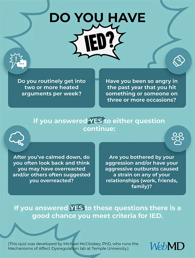 photo of IED facts infographic